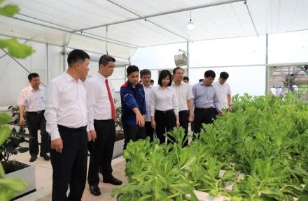 🌱 DỊCH VỤ THIẾT KẾ TOUR B2B NGÀNH NÔNG NGHIỆP